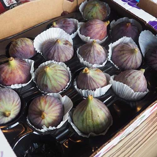 Catering_7